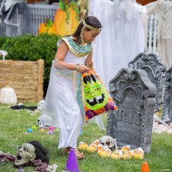 12 1/2" x 17" Bulk Medium Halloween Trick-or-Treat Plastic Goody Bag Assortment - 250 Pc. -Halloween Costumes Halloween Party Supplies🎃 Sales 12 1 2 x 17 bulk medium halloween trick or treat plastic goody bag assortment 250 pc 13709946 a02