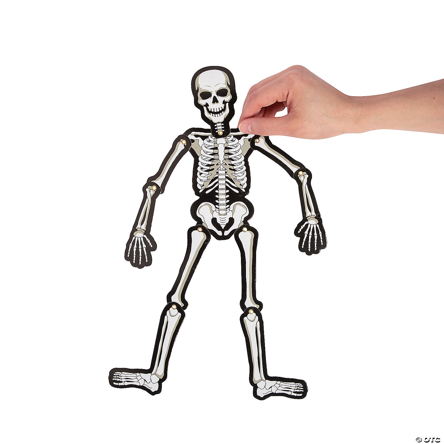 Mini Jointed Skeleton Cutouts – 6 Pc. 4 Mini Jointed Skeleton Cutouts – 6 Pc. - Image 2