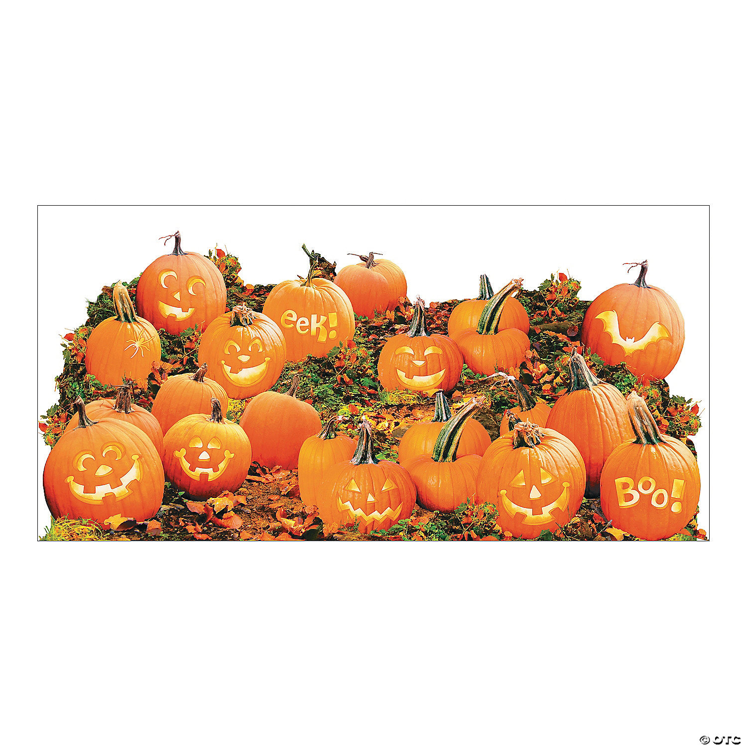 Pumpkin Patch Backdrop - 2 Pc. 3 Pumpkin Patch Backdrop - 2 Pc.