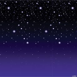 Starry Night Backdrop